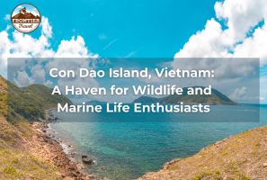 Con Dao Island, Vietnam: A Haven For Wildlife And Marine Life Enthusiasts